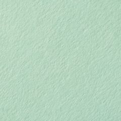 COLORPLAN FOLDER PLAIN 100C (270gsm) Park Green A-2