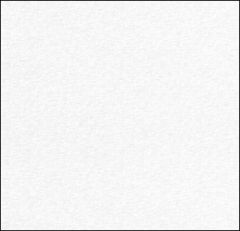 CRANE'S CREST WOVE ENVELOPES 24W (90gsm) Fluorescent White #8 POINTED FLAP