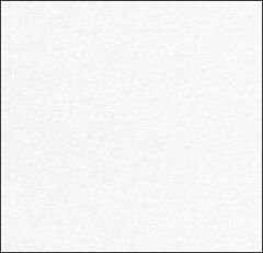 CRANE'S CREST WOVE ENVELOPES 24W (90gsm) Fluorescent White #10 POINTED FLAP
