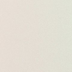 GMUND ACTION 113C (310gsm) Crystal Vanilla Sorbet 27.5 X 39.37 470M GL