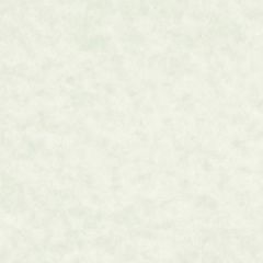 ASTROPARCHE ENVELOPES 60T (89gsm) Celadon #10 COMMERCIAL FLAP