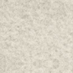 ASTROPARCHE ENVELOPES 60T (89gsm) Gray #10 COMMERCIAL FLAP