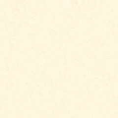 POP-TONE CARD PLAIN 100C (270gsm) Whip Cream 5.5 X 5.5