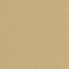 PRESSURE SENSITIVE ENVIRONMENT 80T (118gsm) Desert Storm 24 X 37.625 335M GL